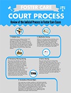 Court Process